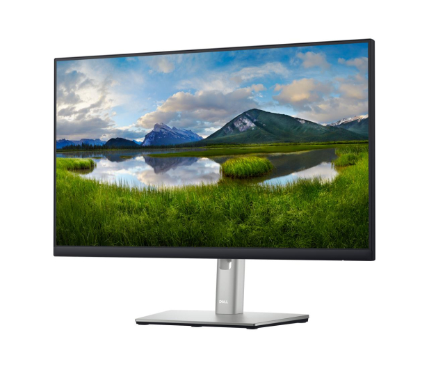 Dell P2422HE/5Y - 1165187 - zdjęcie 3